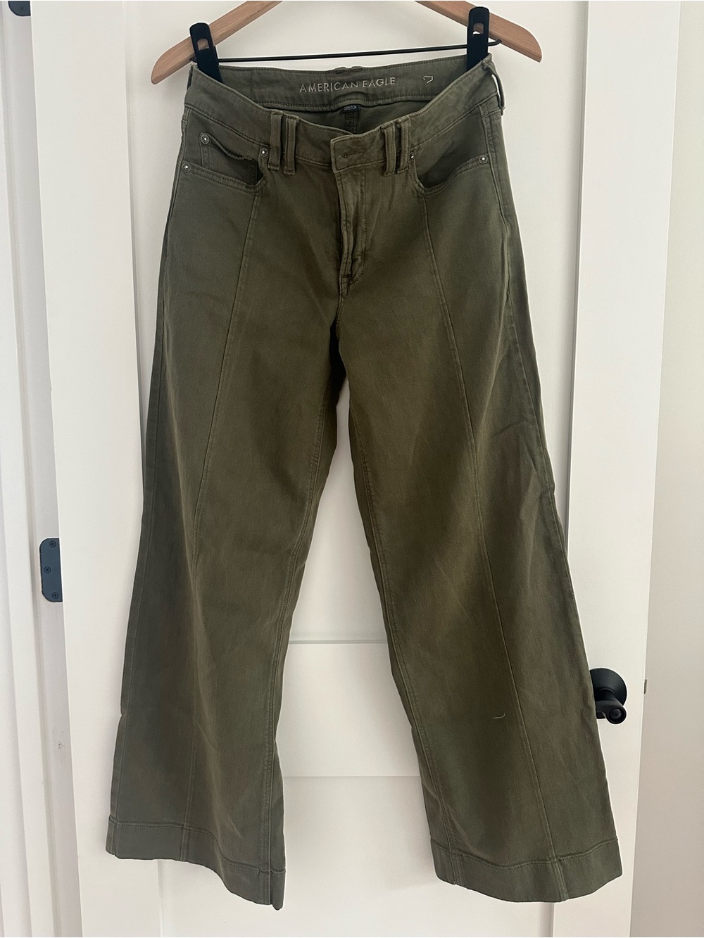 American Eagle Outfitters Low Rise Baggy Wide Leg Pant